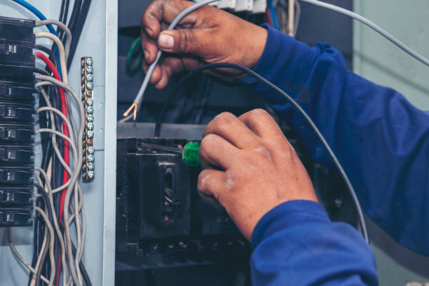 Best Electric Panel Repair  in Ahuimanu, HI